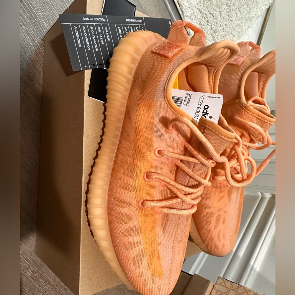 Yeezy boost 350 v2